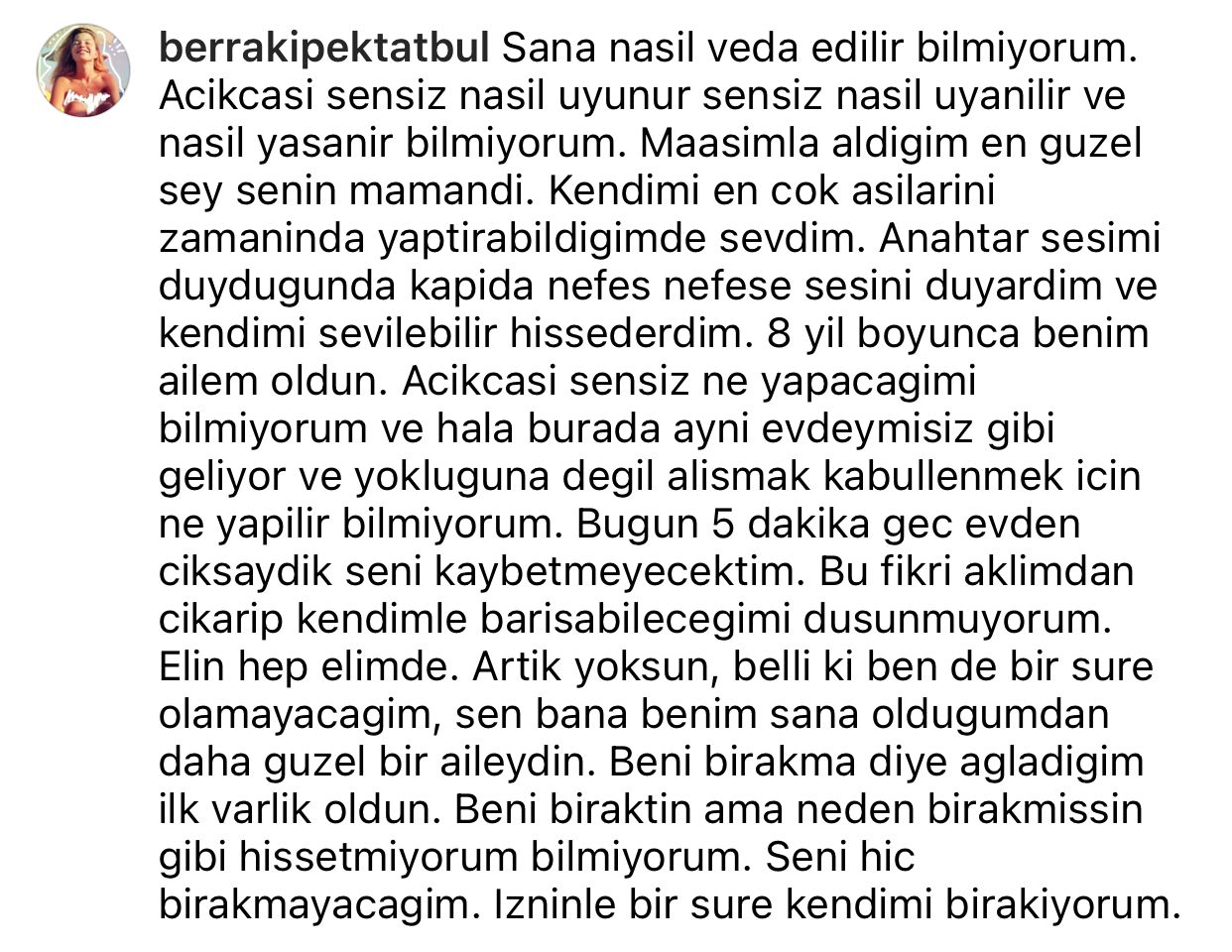 Antalya'da pitbull dehşeti: Sahibinin gözü önünde köpeği öldürdü